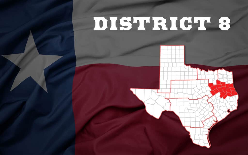 district 8 hero