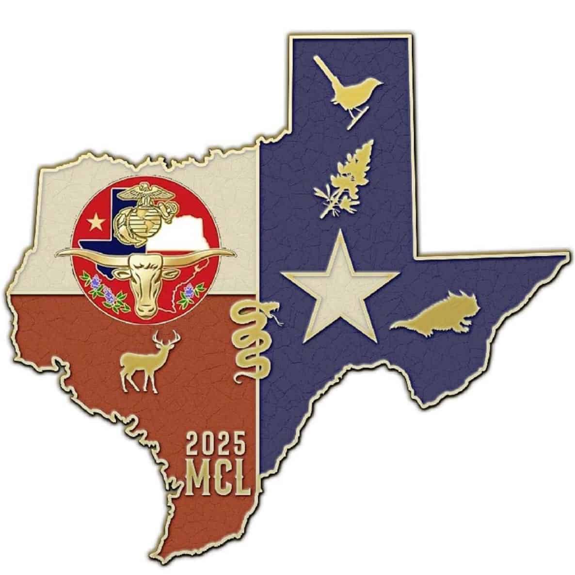 Texas Shaped Challenge Coin 2 Texas Shaped Challenge Coin - Image 2